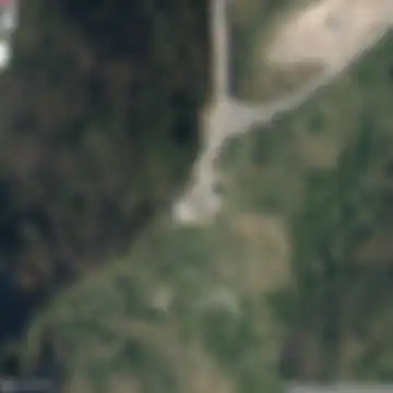 Moa Point Road