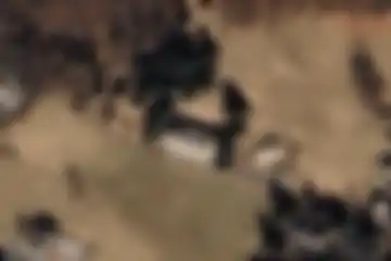 Boario