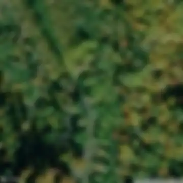 Sikló felső állomása