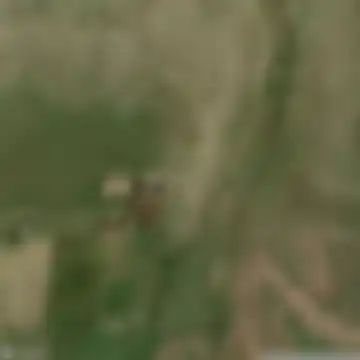 Արդենիս