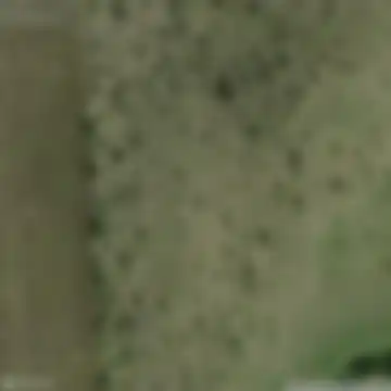 ДОТ № 983 ТиУР