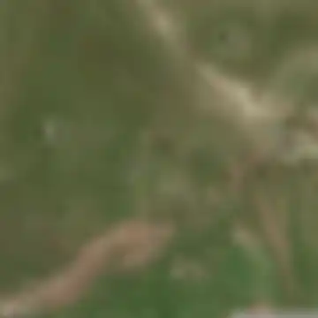 Արդենիս