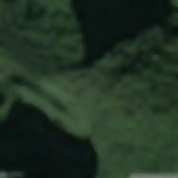 Avio