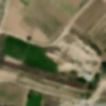 Մրգաշատ