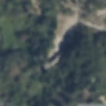 Carrara