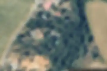Assas
