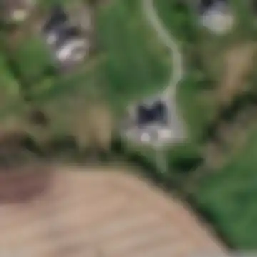 Palatine