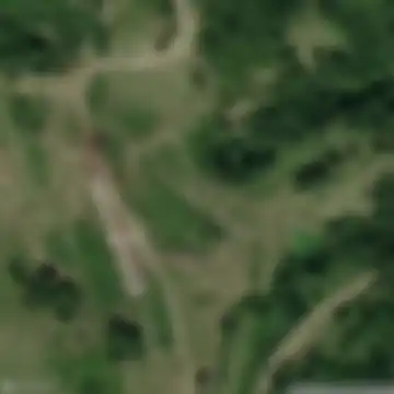 Գոշ