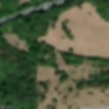 Longera / Lonjer