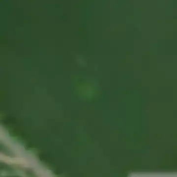 ДОТ № 648 ТиУР