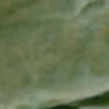 Grad Konjic, Hercegovačko-neretvanska županija (kanton)