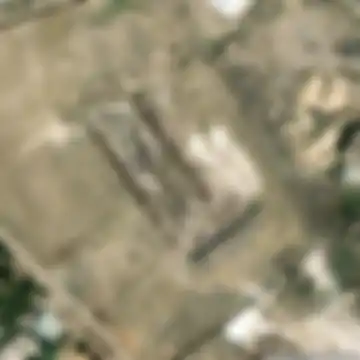 Vedi