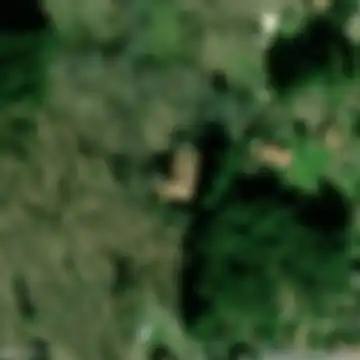 Faltona