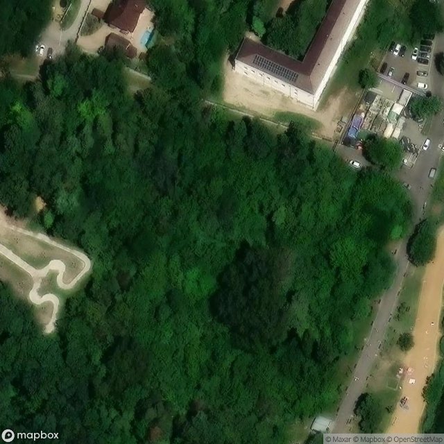 Traces of the Imported Vector