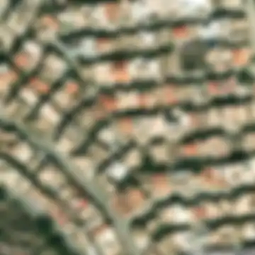 Oran