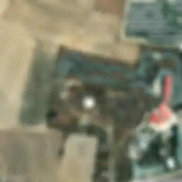 Traces of the Vector