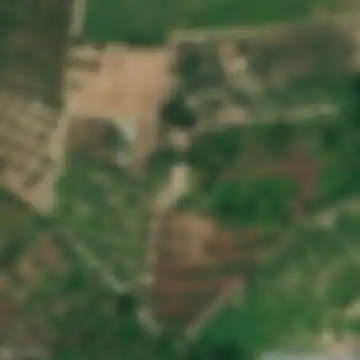 Arielli