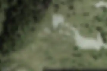 Bianzone