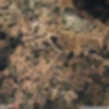 Almogía