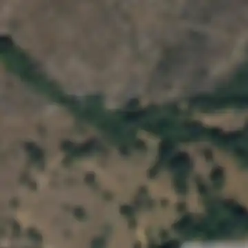 Sequeira