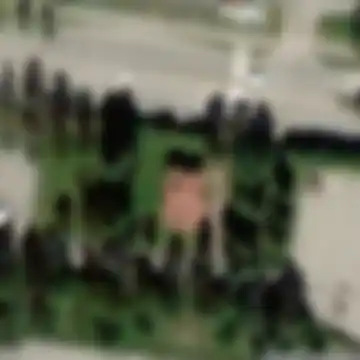 Traces of the Vector