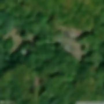 Biollé, Pialpetta