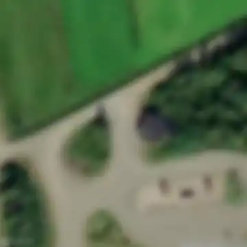 Torvinen
