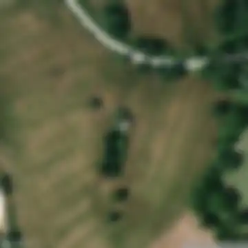 Apiro