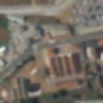 Viseu