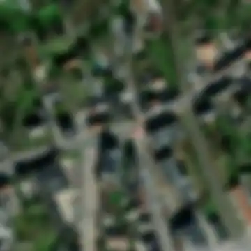 Traces of the Vector