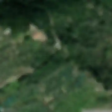 Badalucco