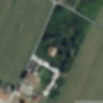Campo