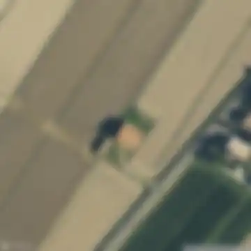 Casoni