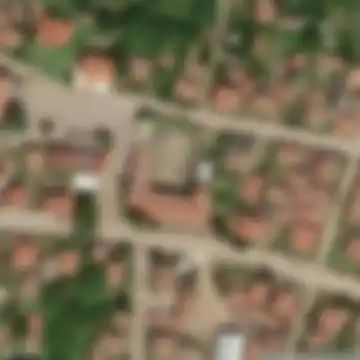 Сланотрън