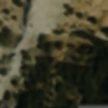 Cazorla