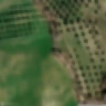 Podere Camponovo, Dogana