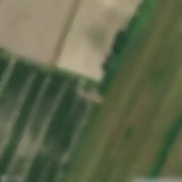 Bondeno