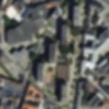 Shadows Within the Sprawl