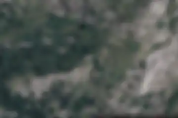 Madonna e Santi, Mollia