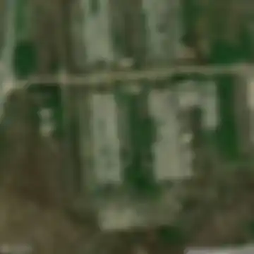 R1101, Веселчани