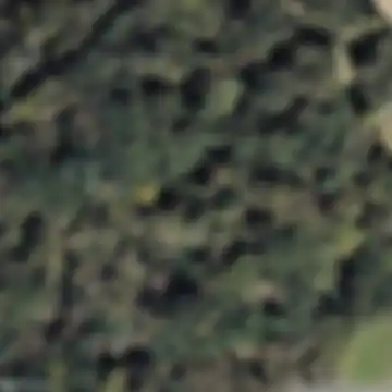 Llamascura, Oviedo