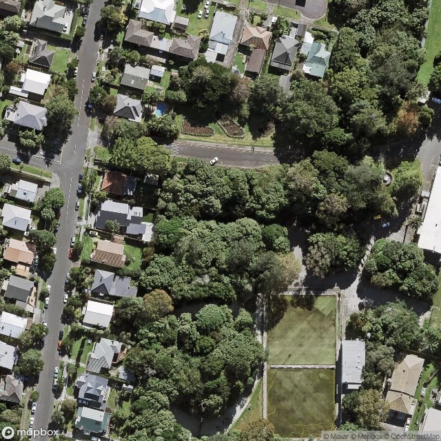 Cabbage Tree Swamp Drive, Albert-Eden