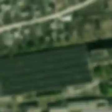Florești