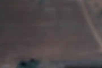 Bonnesvalyn