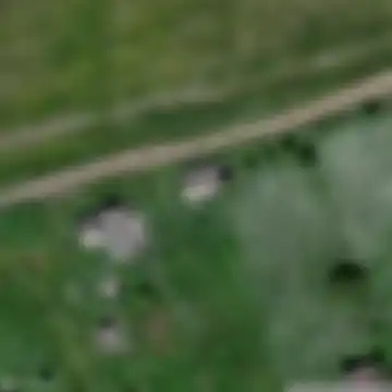 Tarnogskiy Gorodok