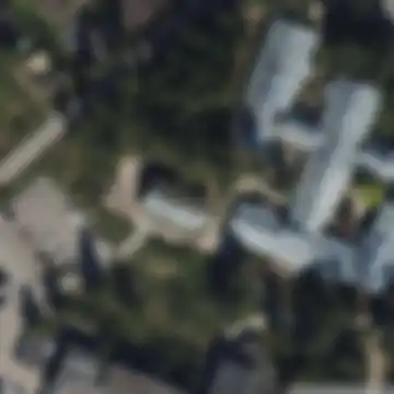 Shadows of the Vector