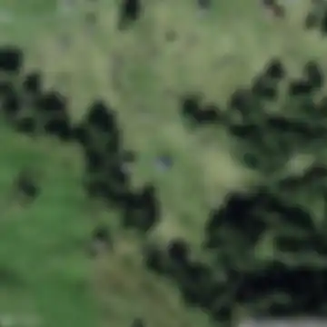Arni, Gurtnellen