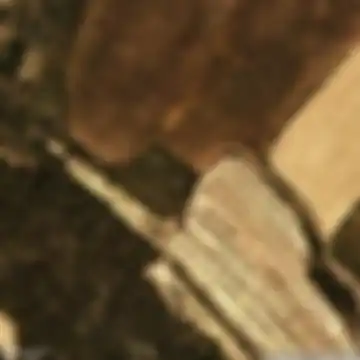 TV-2336, Solivella