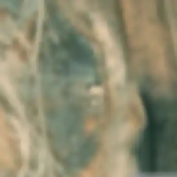 بوثة شرقية