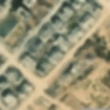 الزهراء‎
